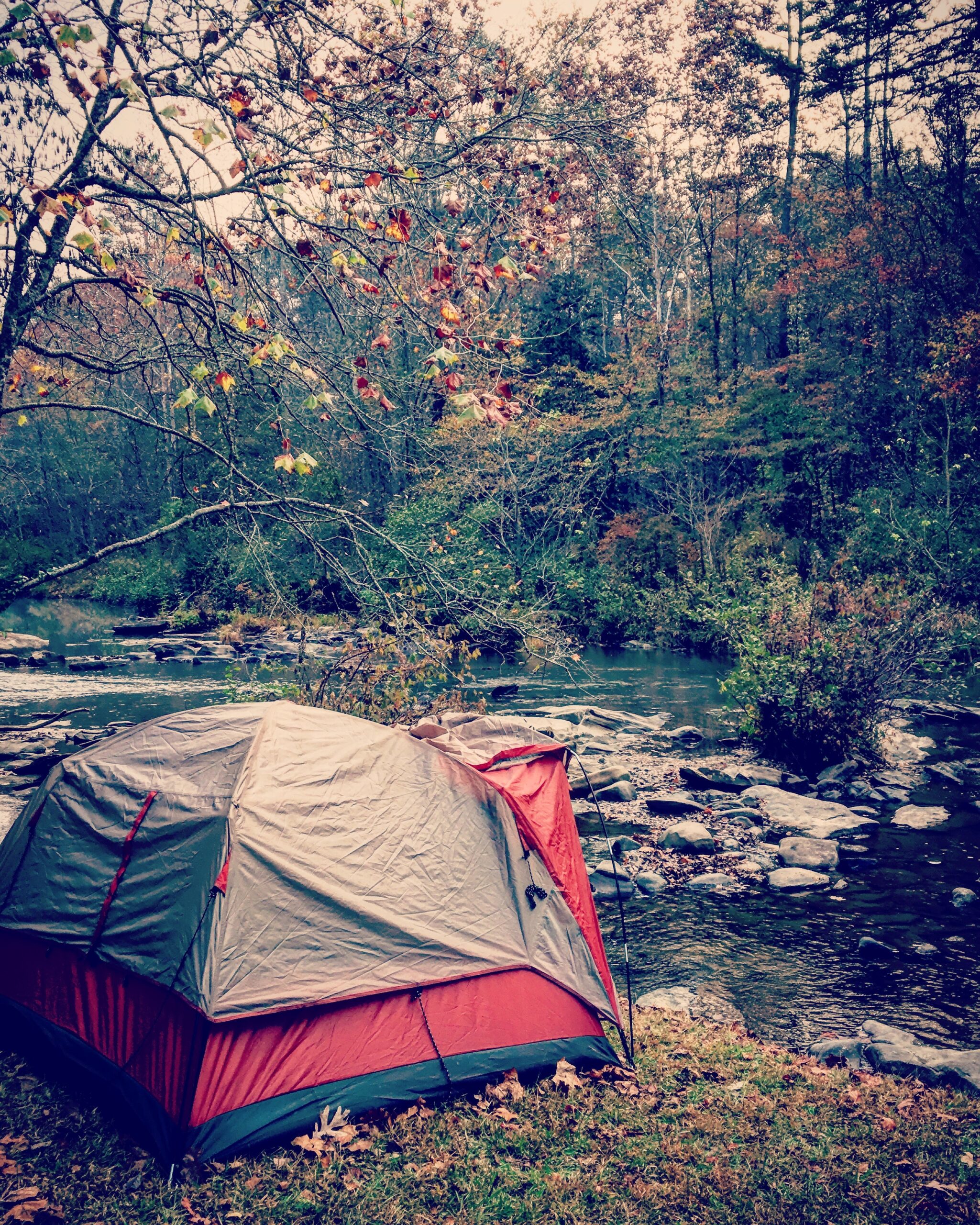 How to Set Up a Tent Like a Pro